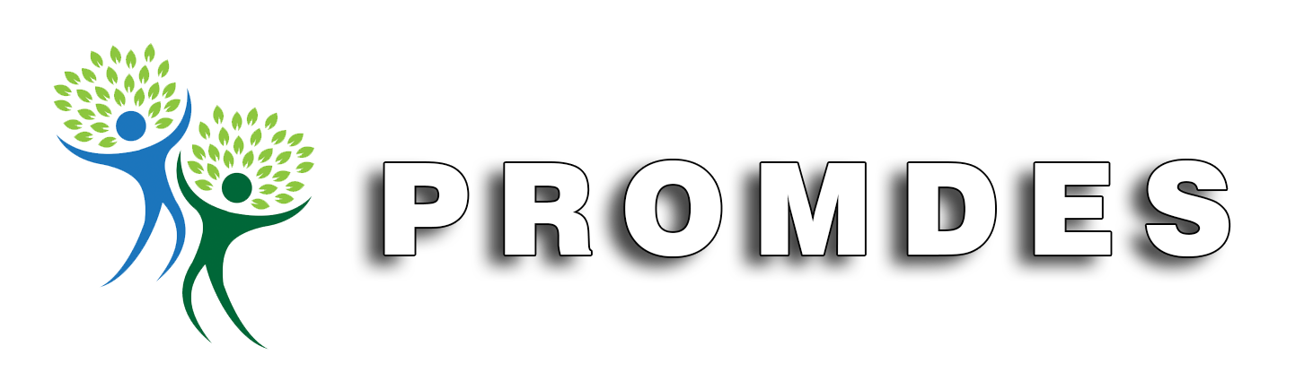 Promdes.ro